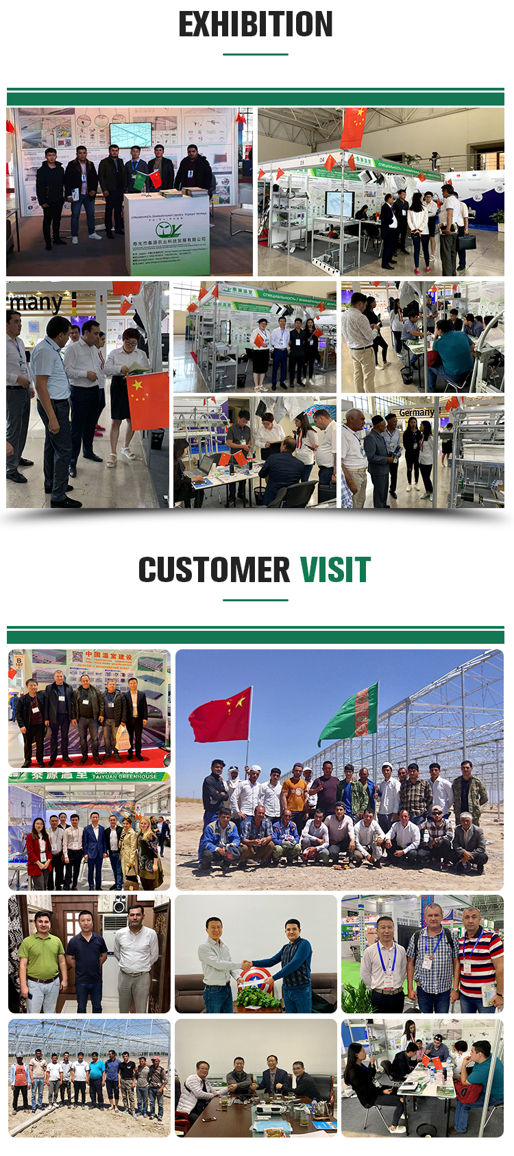 Optimize Tomato Production with 8m Width Glass Greenhouse and Farm Irrigation Systems