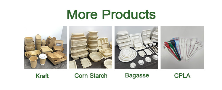 Eco Friendly Biodegradable Sugarcane Bowl Dish Paper Tableware Manufacture
