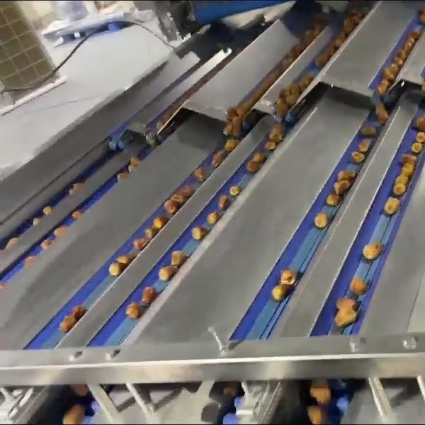  AI Powered Date Sorting Machine With Intelligent Data Statistics System High-Speed Smart One-Key Start For Stable High-Yield Performance Manufactures