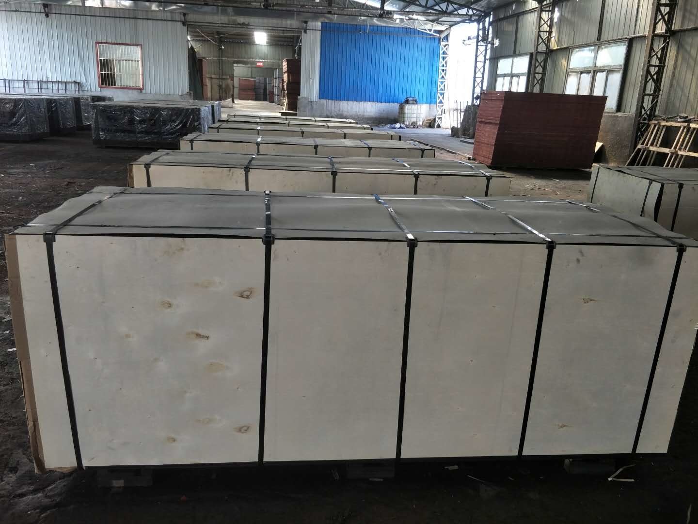 9mm 12mm Hot Pressed Phenolic Glue Black Film Faced Plywood