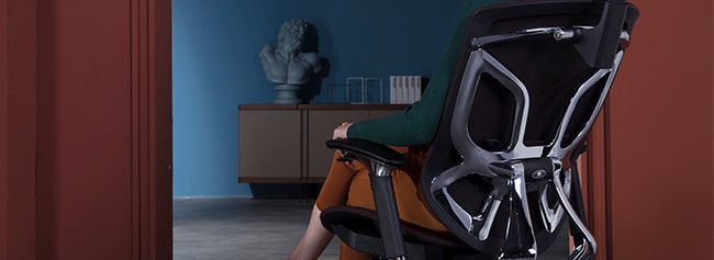Dvary Middle Back Ergonomic Chair Lumbar Support Adjustable Swivel Office Chairs 0