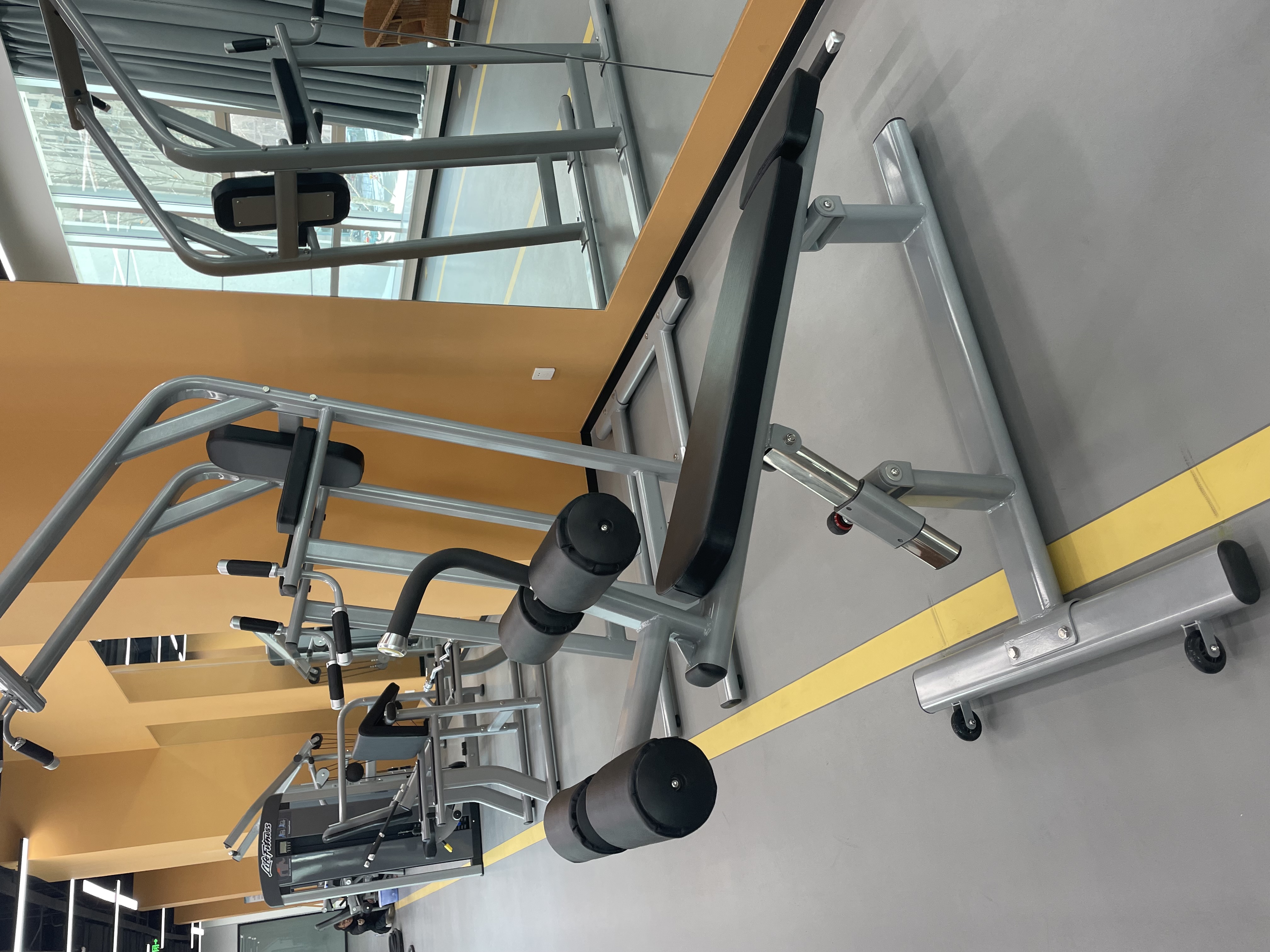 Freeman Commercial Gym Fitness Equipment Adjustable Decline/Abdominal Crunch