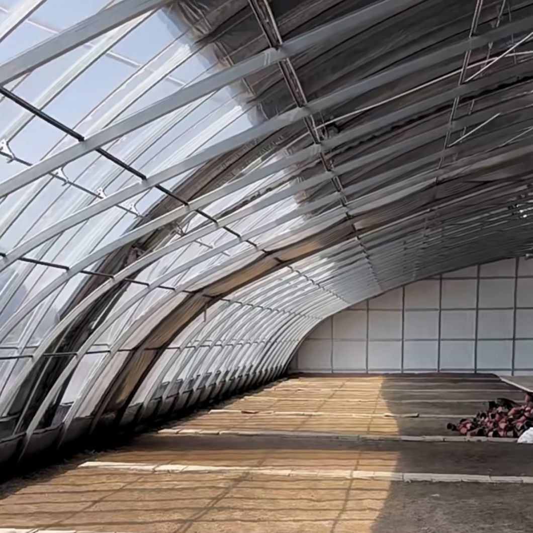 Hydroponics Vegetable Sunlight Greenhouse