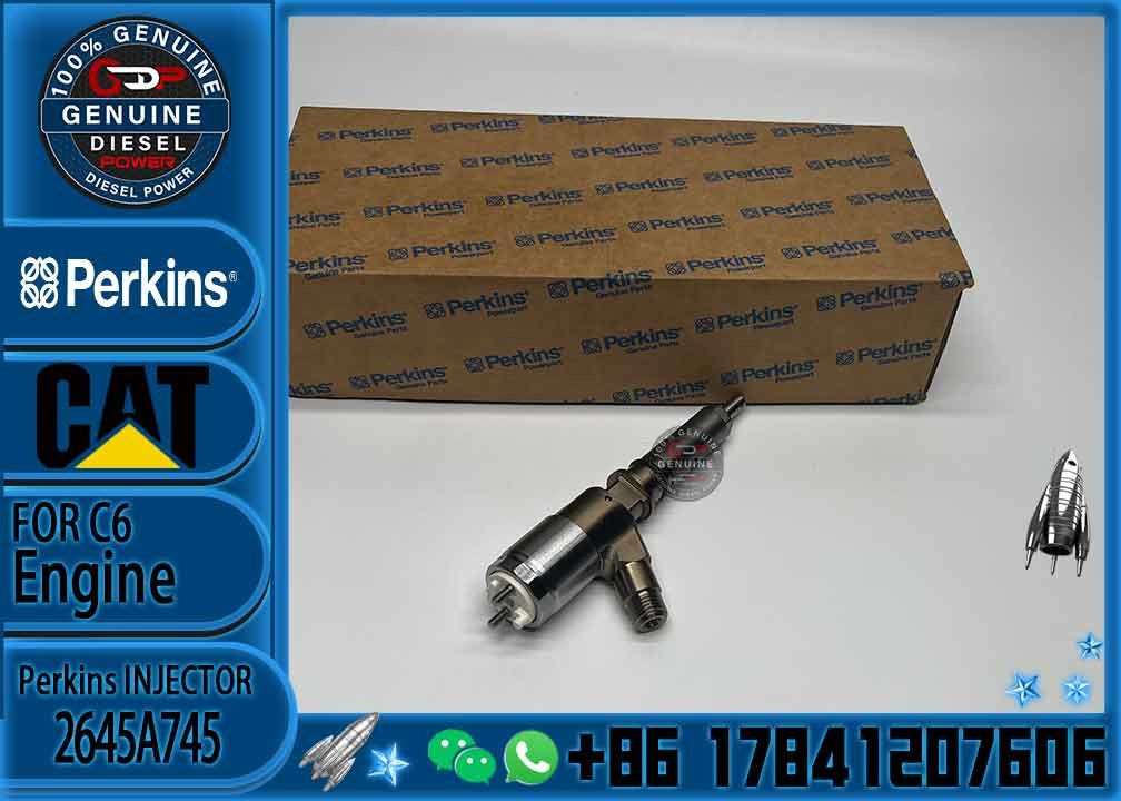 Diesel Fuel Injector 2645A745 for Engine C7 C9 C6.6 CAT Excavator 320D
