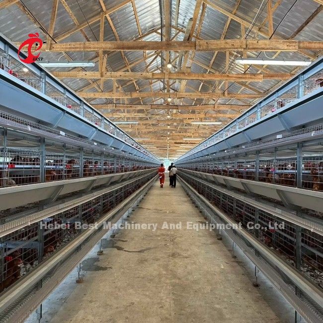 110kg Capacity Chicken Cage for Raising Chicken at 432cm2 A or H Type Doris