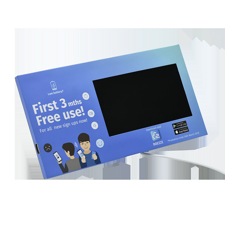 10 inch HD IPS LCD screen digital screen in store retail shop digital signage with custom logo print