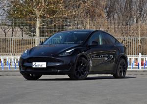  Comfortable Safety High Speed SUV Tesla EV Car Model Y Electric Vehicle Pure New Energy New Car Manufactures