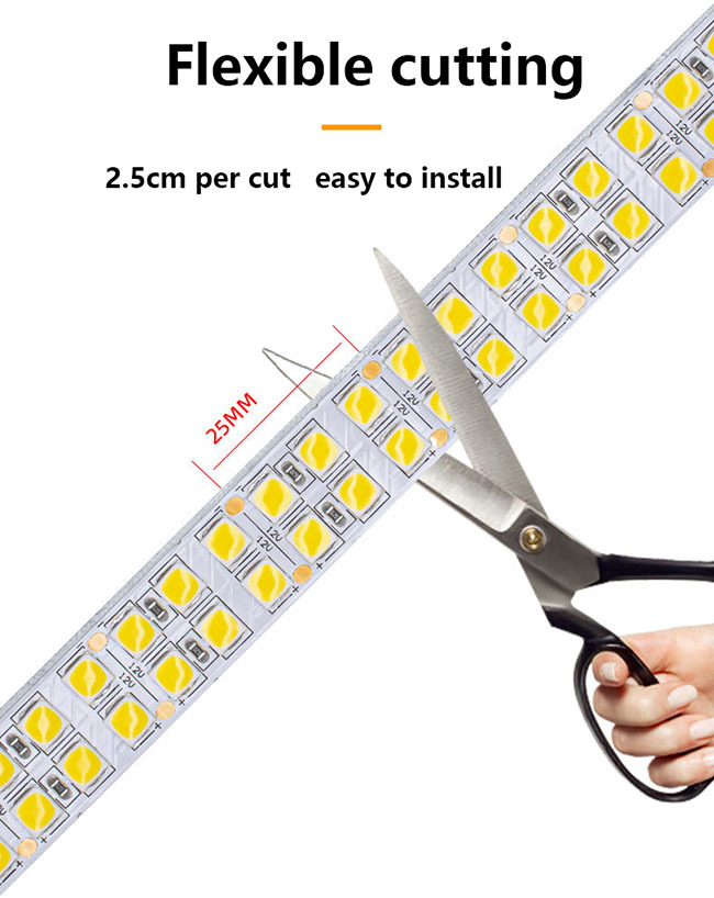Non-waterproof Ip20 Flexible Led Lights Double Row 12v Voltage And Epistar Chip