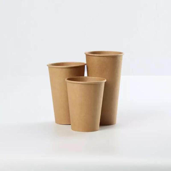 Hot Cold Drink Single Wall PE Coating Take Away 8oz Biodegradable Kraft Paper