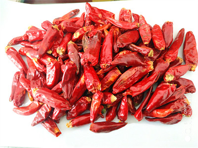 Sichuan Red Bullet Chilli Stemless Dried Hot Chili Peppers GMP