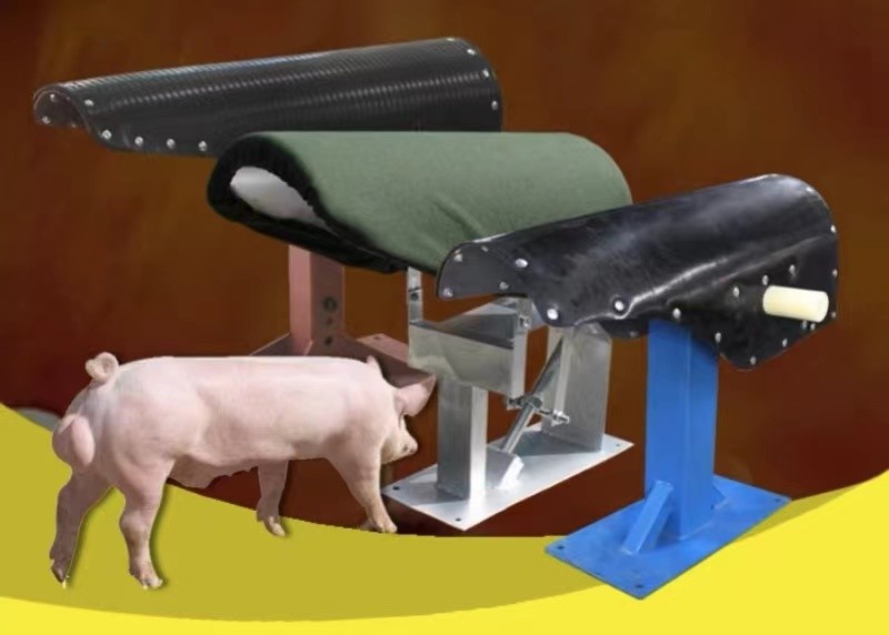 Boar Animal Artificial Insemination Kit Sponge Rubber Sow Dummy