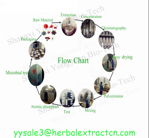 Amygdalin Extract Amygdalin 98%HPLC, CAS No.: 29883-15-6, Chinese supplier, high quality