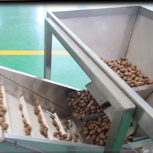 380V Mechanical Pecans Silver Sorting And Shelling Machine 360° Rotational