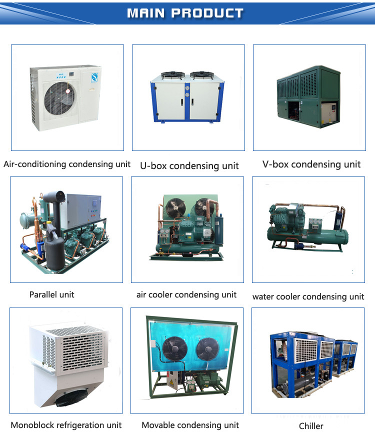50 Hz Rotary Air Conditioning Refrigeration Compressor R22