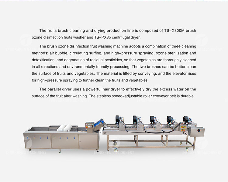 Customized Driven Pesticide Exclude Vegetable Processing Line , Centrifuging Tomato Processing Line