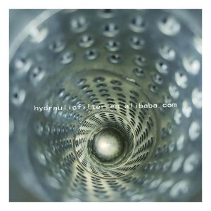 Working System BAMA R902603004 Hydraulic Filter Element Made of Pleated