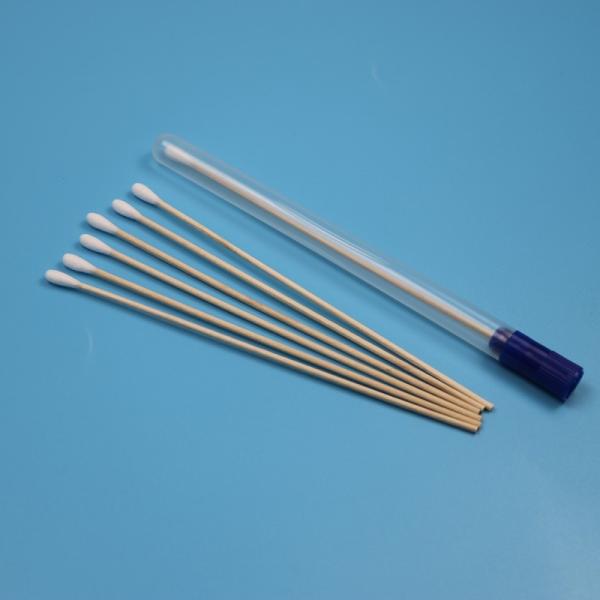 Disposable Wooden Stick Cotton Tip Oral Swab Sterile Specimen Collection Swab