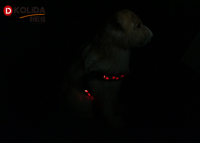 Eco - Friendly Nylon Webbing USB Rechargeable LED Dog Harness 2.5X50cm / 60cm