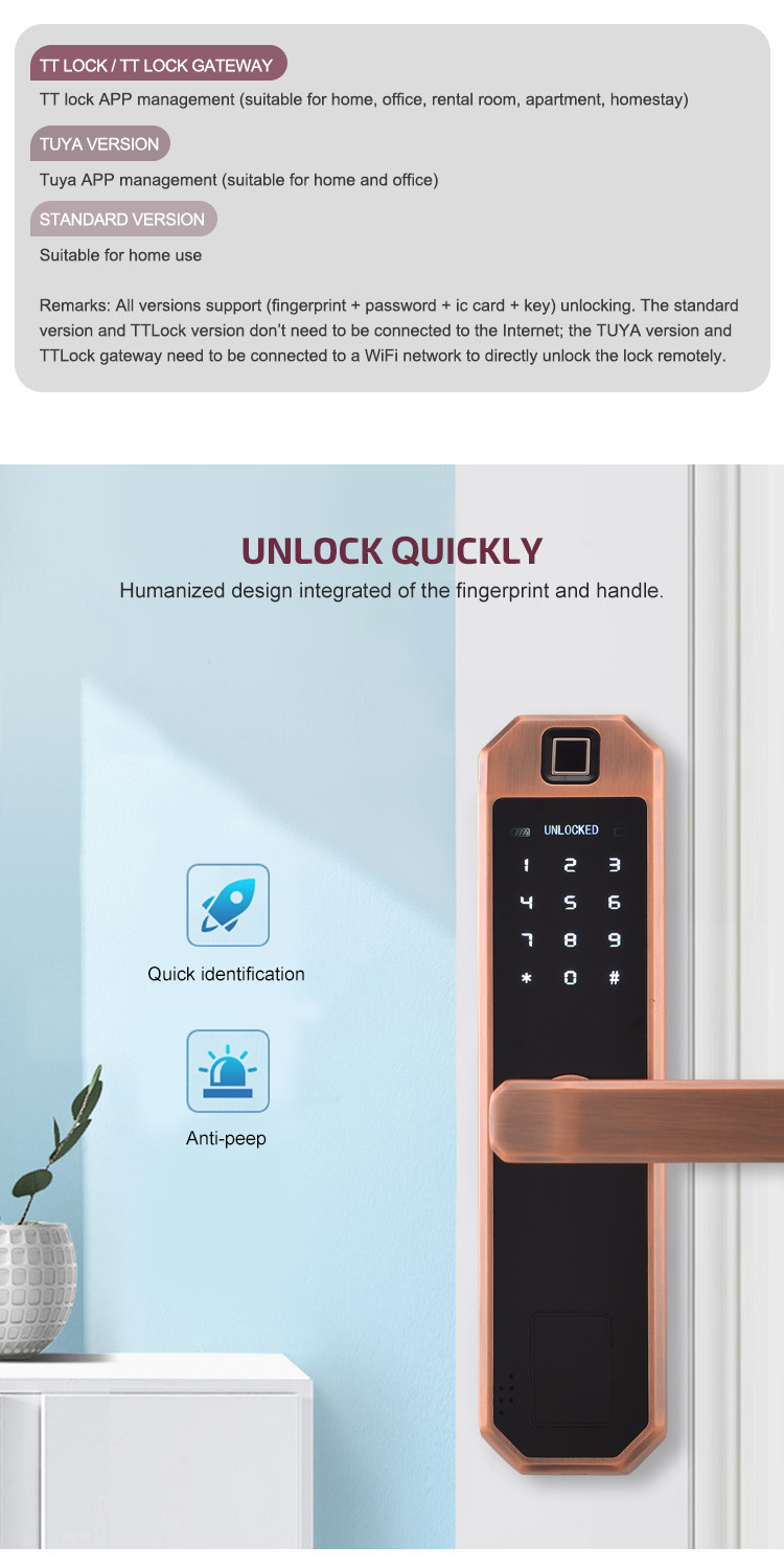 Keyless Entry Smart Wifi Door Lock Keypad APP Control IC Card Wifi Connected Door Lock