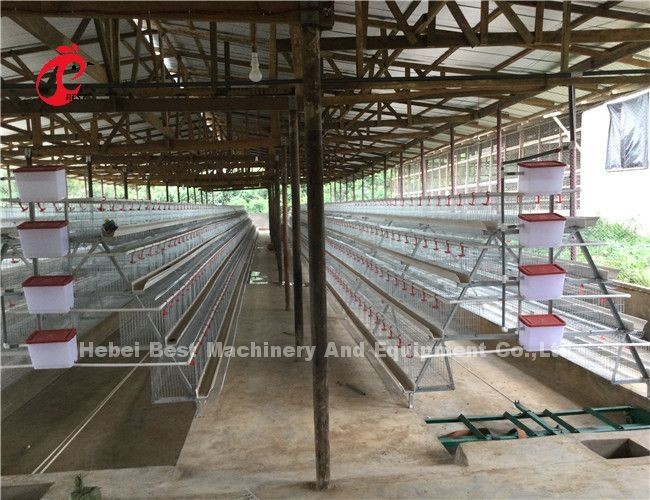 China Nigeria Factory Layer Broiler Poultry Chicken Rearing Cage For Sale Ada