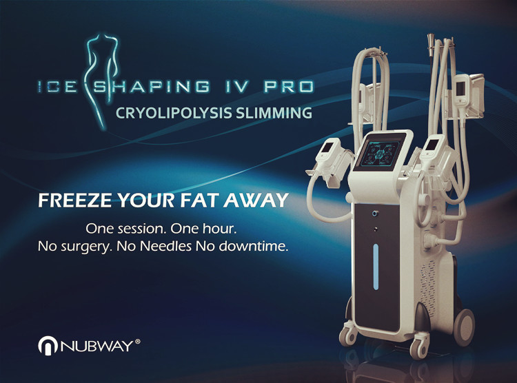 Ice Shaping IV Pro! 4 Cryo Nubway Best Cryolipolysis Fat Freezing Machine With TUV Approval