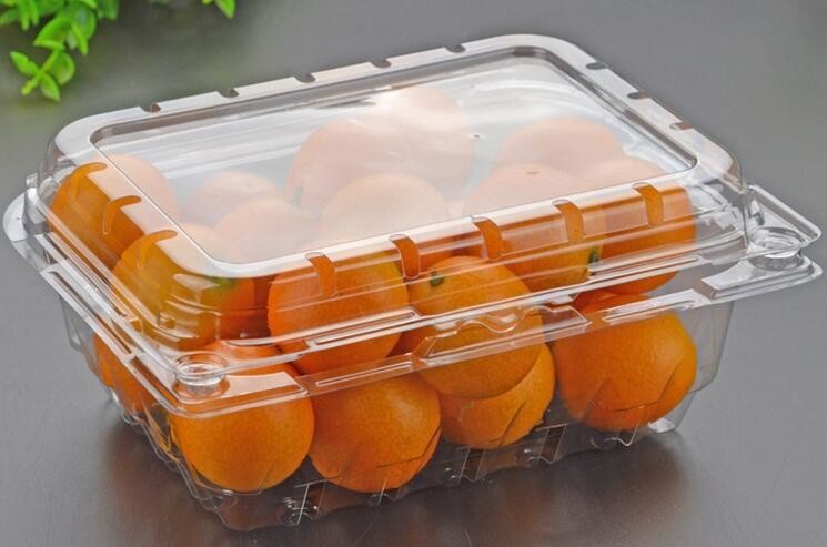 Meal Prep Containers Free Sample Bento Lunch Box Biodegradable Food Container Plastic Wheat Straw Lunch Box bagplastics