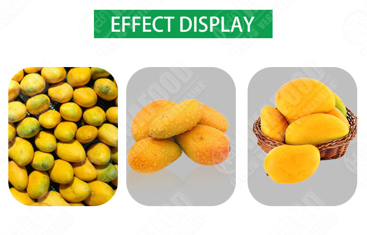 SS304 Vegetable And Fruit Washing Machine Mango Processing Line