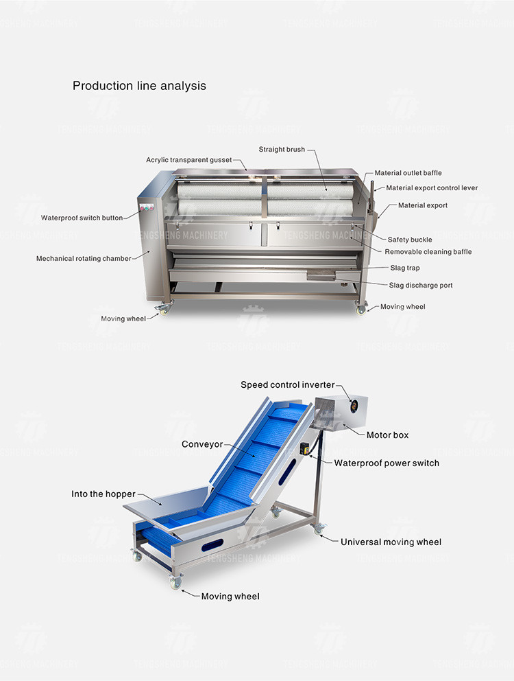 Stainless Steel Fruit And Vegetable Processing Line Brush Cleaning And Hoisting