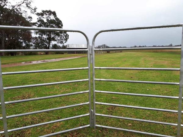 2.9mx1.25m Heavy Duty Steel Economy Pastoral Portable Sheep Yard Panels Goat