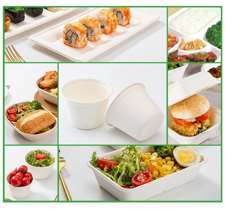 16oz Bagasse Disposable Fruit Salad Containers Biodegradable Microwavable