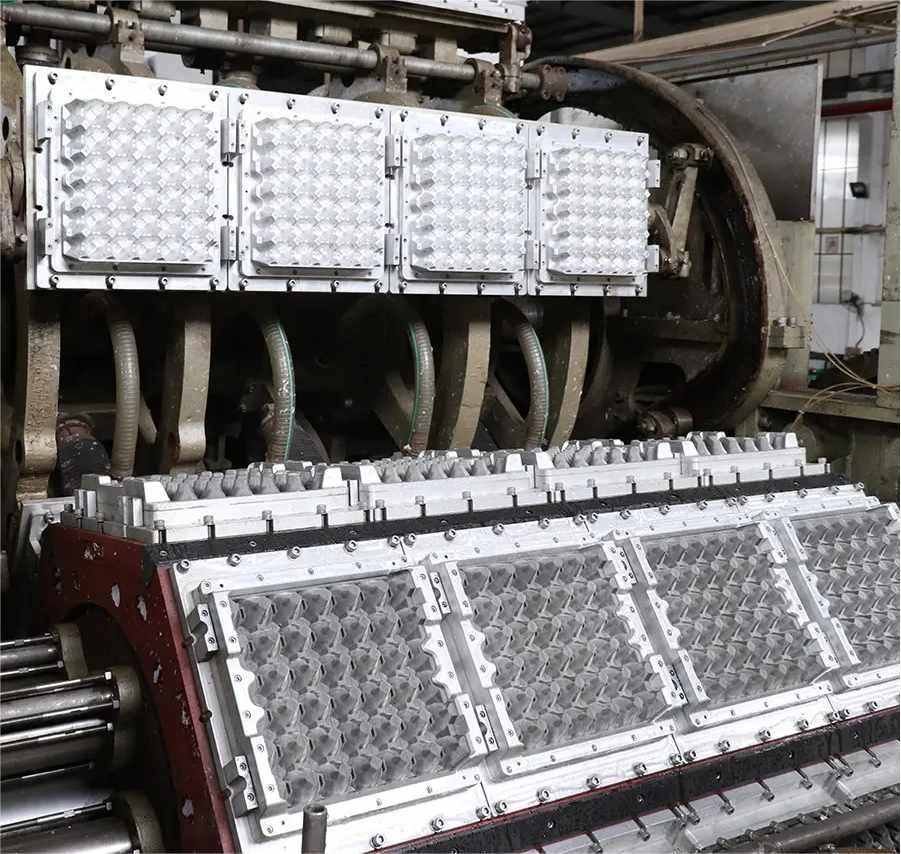 Paper Pulp Molding Egg Tray Making Machine Line Recycling Paper Forming Machine