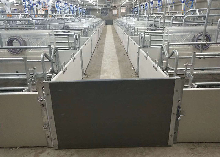 2.4*1.8m Pig Sow Farrowing Crate Pen