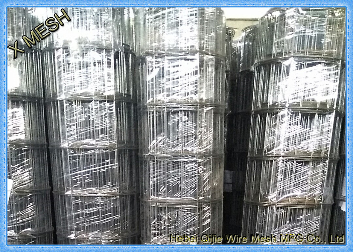 3mm Wire Diameter 15cm Openning Black Welded Wire Mesh for South American Market