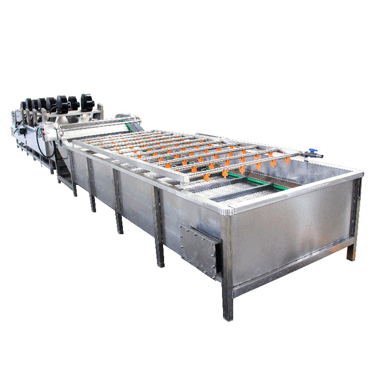 Vegetable and fruit pasteurization line-washing and drying machine