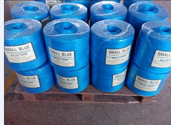 Highly UV Resistant PP Fibrillated Tomato Twine Tape Agricultural For Chile
