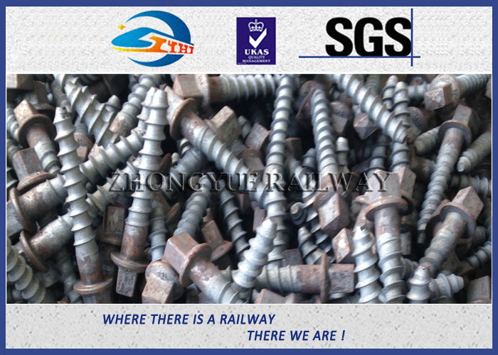 Stainless Steel Rail Screw Spike 5.6 Grade For Railway Fasteners
