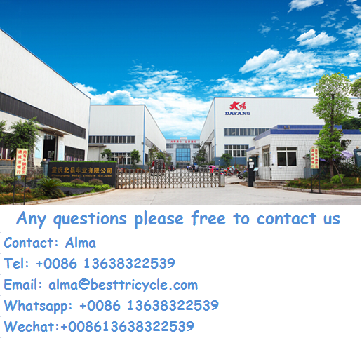 Front Drum Rear Drum Brake System Hydraulic High Power Three Wheel Van Cargo Motorcycle for 1 Passenger