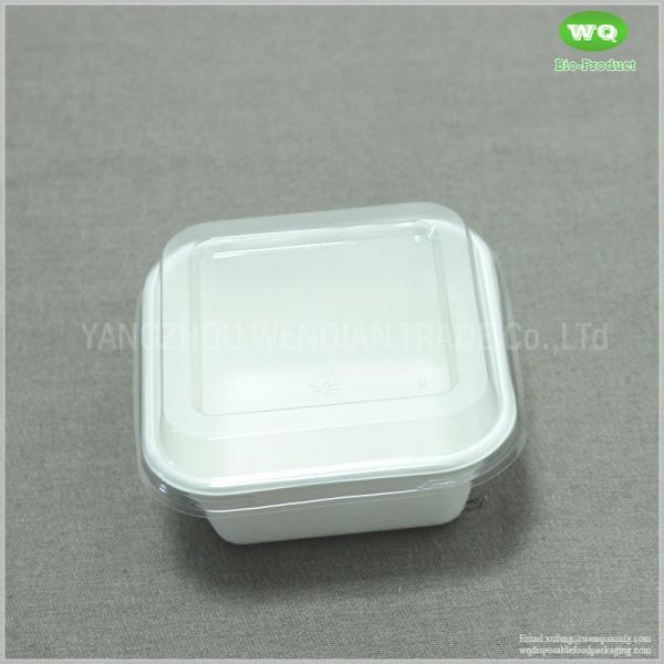 250ml Disposable Square Food Container Made By Sugarcane Bagasse With Clear PET