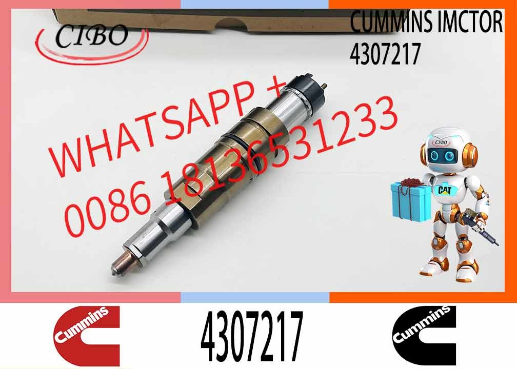 ISX QSX 5579423 4307217 Diesel Engine Parts Fuel Injector Repair Kit 5579423 4307217
