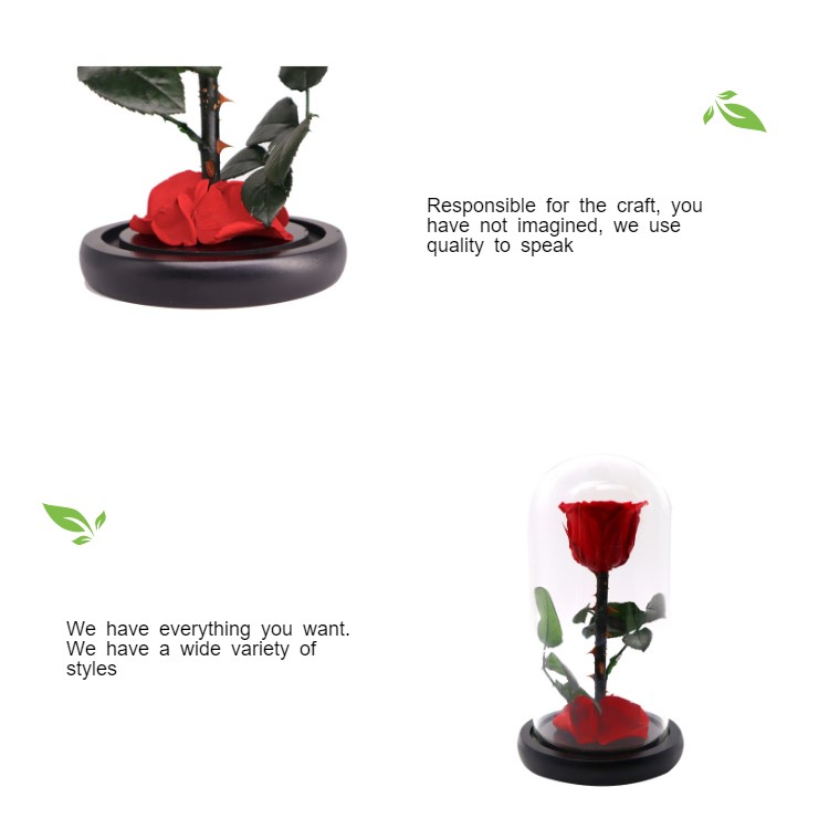 Preserved Red Rose In A Glass Dome Delicate Decoration For Home / Indoor