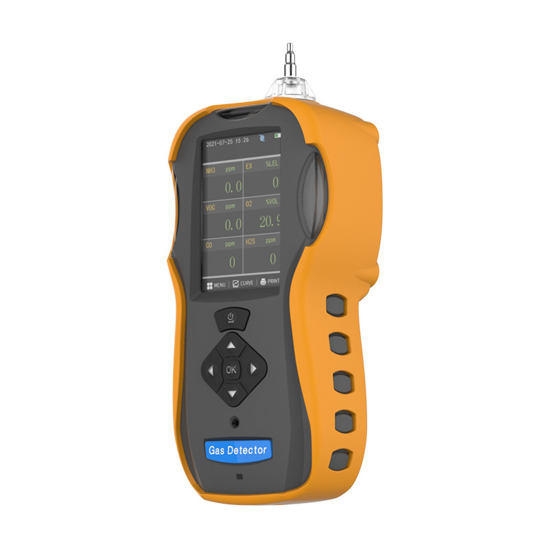 Hand Held Gas Testing Equipment , Pumping Suction Industrial Gas Monitors