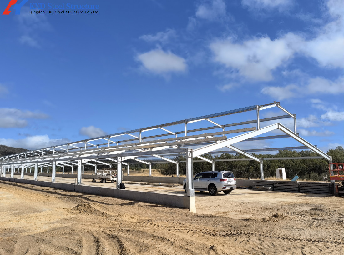 Customized Automatic Chicken House Steel Structure Poultry Farming House