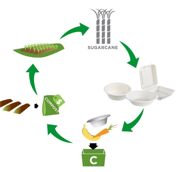 Bagasse Pulp Biodegradable Clamshell Boxes , Bagasse Takeaway Containers Burgers