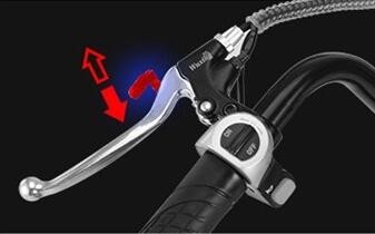 Citycoco Easy Rider 48V 500W Electric Scooter with Small and Exquisite Design On Buyers