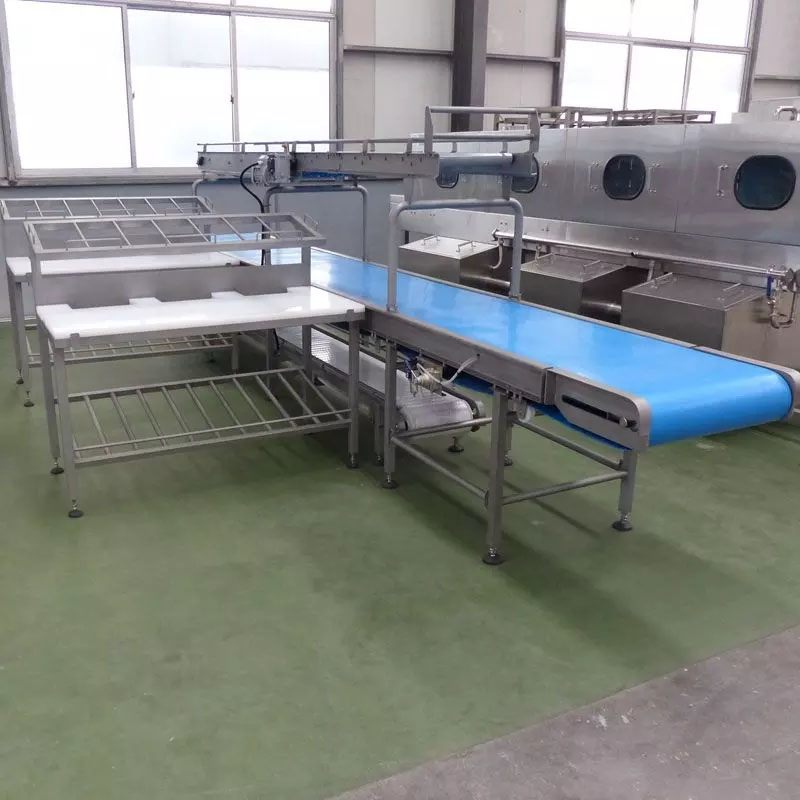 ISO9001 CE Full Automatic Poultry Slaughtering Line Automatic Chicken Slaughtering Line
