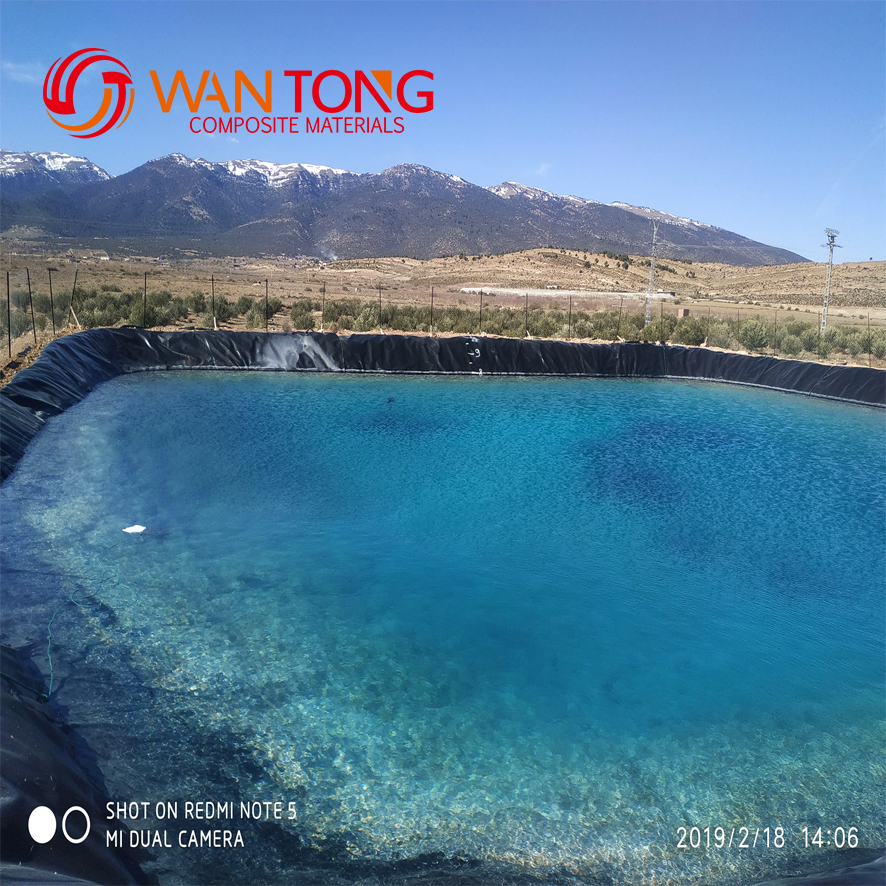 Modern Design Style 1mm HDPE Geomembrane Liner Customized for Tunnel Lining Solutions