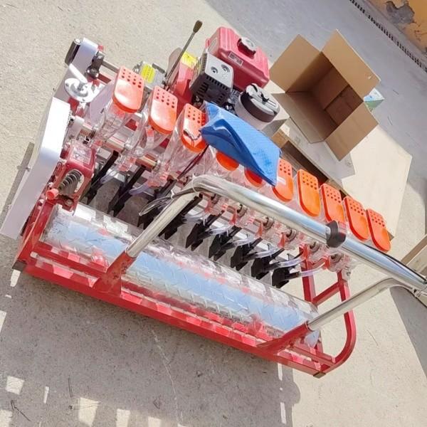 Self Propelled Agriculture Equipment Vegetable Seeder Machine Multi Row