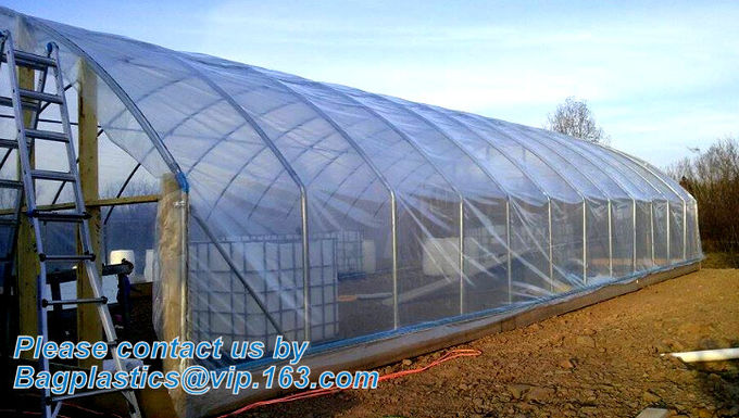 Transparent / Black / Silver / White color Plastic PE LDPE Agriculture Mulching Film,panda strawberry mulch film/black w