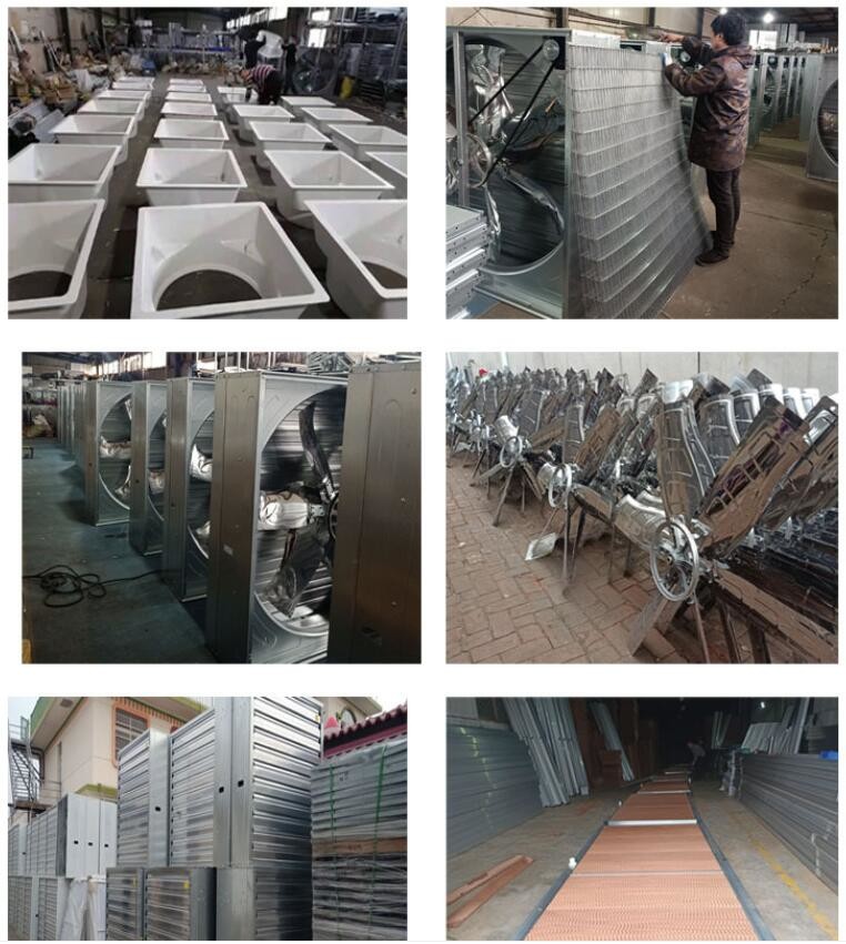 Poultry House 1270mm Ventilation Cooling Fan 370W Industrial Ventilation Fan