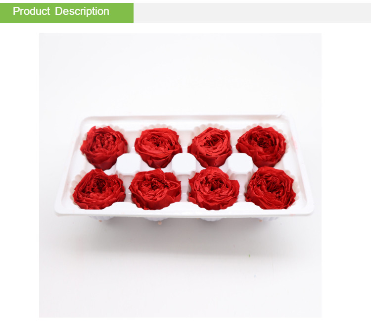 4-5cm Austin Flower Rose Head Preserved Long Lasting Eternal Rose For Wedding Decoration